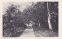 640  -  The Lovers Walk, Southampton