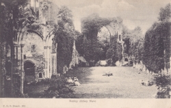 668  -  Netley Abbey Nave
