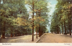 7167  -  Southampton. The Avenue.