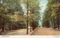 7167  -  Southampton. The Avenue.