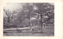 734  -  Oaks, Boldrewood Hill, New Forest