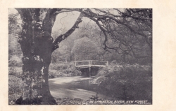 743  -  On Lymington River, New Forest