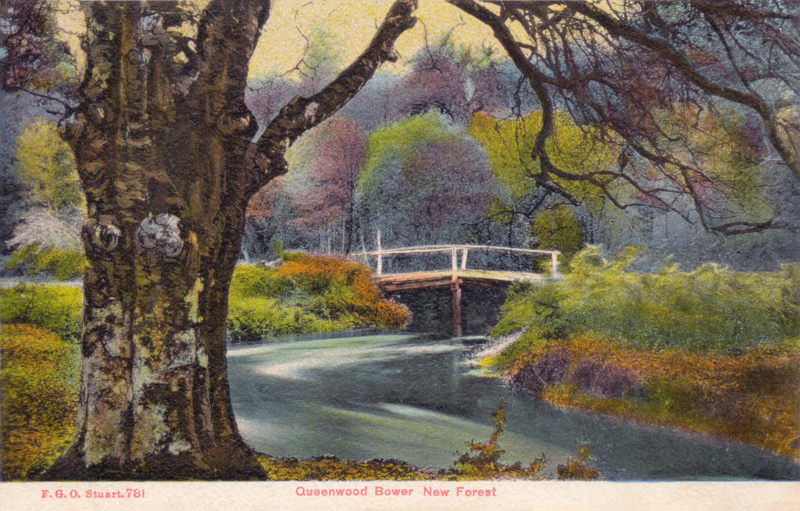 Queenwood Bower New Forest