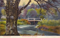 781  -  Queenwood Bower New Forest