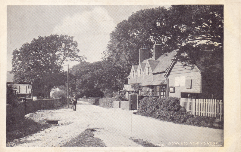 Burley, New Forest