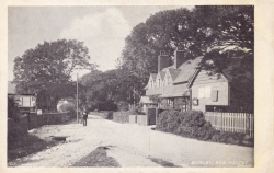782  -  Burley, New Forest