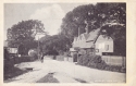 782  -  Burley, New Forest