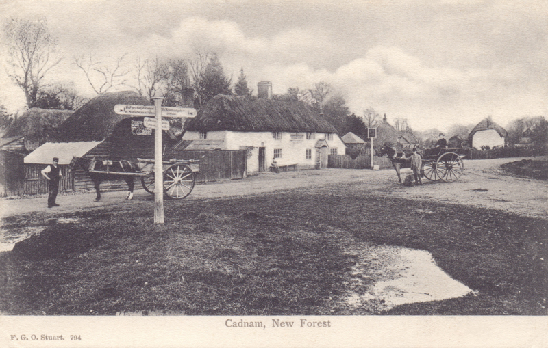 Cadnam, New Forest