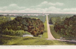 827  -  The Long Walk, Windsor
