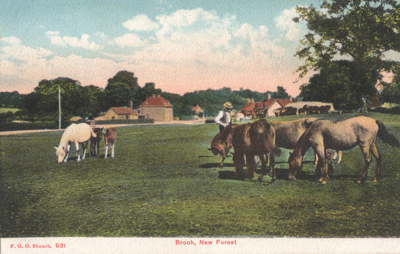 Brook, New Forest