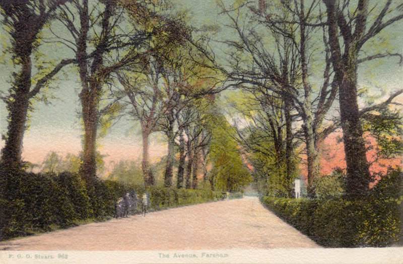 The Avenue, Fareham