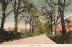 963  -  The Avenue, Fareham