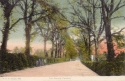 963  -  The Avenue, Fareham