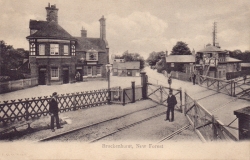   Brockenhurst, New Forest