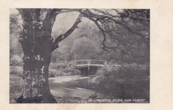   On Lymington River, New Forest