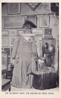   The Salisbury Giant, and Hob-Nob or Hobby Horse