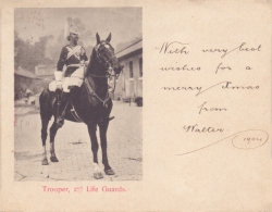   Trooper, 2nd Life Guards